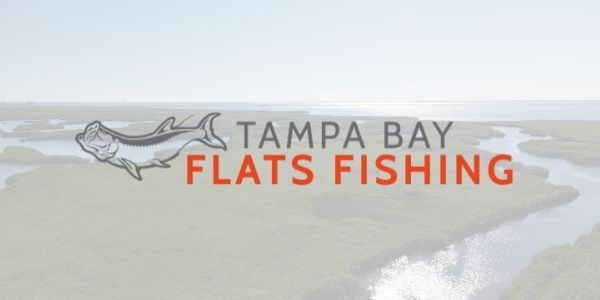 Flats Fishing, Gulf to Bay Fishing Charters